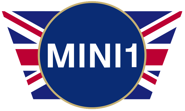 Mini 1